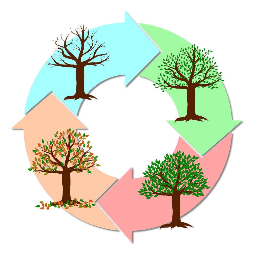 seasons, year, tree-2019523.jpg